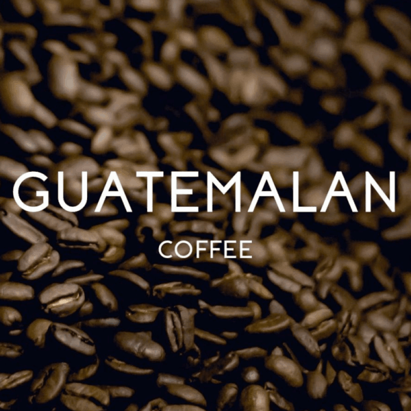 Guatemalan Antigua - Fresh Roasted 10.00% Off Auto renew - Image 4