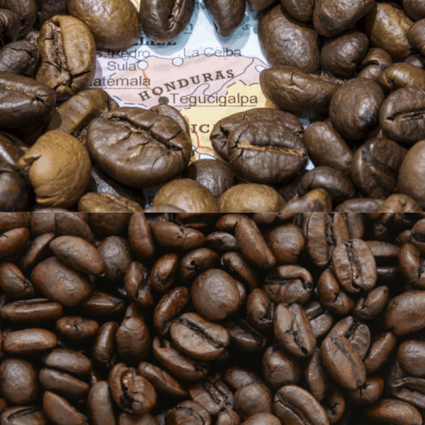 Honduran - Fresh Roasted 10.00% Off Auto renew - Image 2