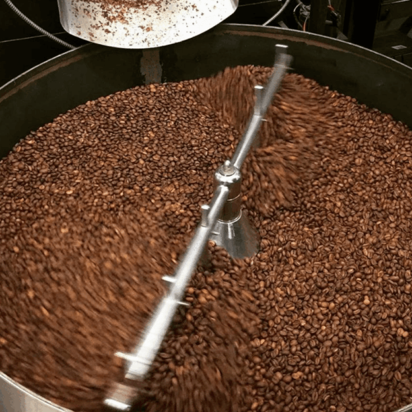 Sumatra Mandheling - Fresh Roasted 10.00% Off Auto renew - Image 5