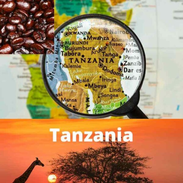 Tanzanian Peaberry - Fresh Roast 10.00% Off Auto renew - Image 2