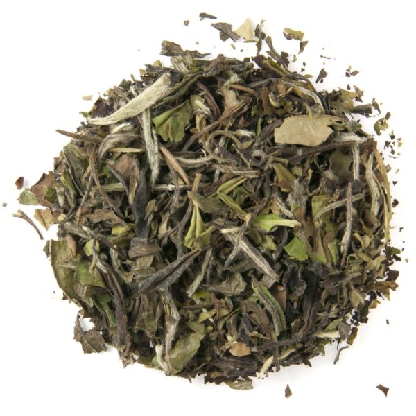 Native Tea Sample Box - Image 2